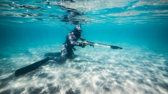 Spear Fishing Sea of Cortez