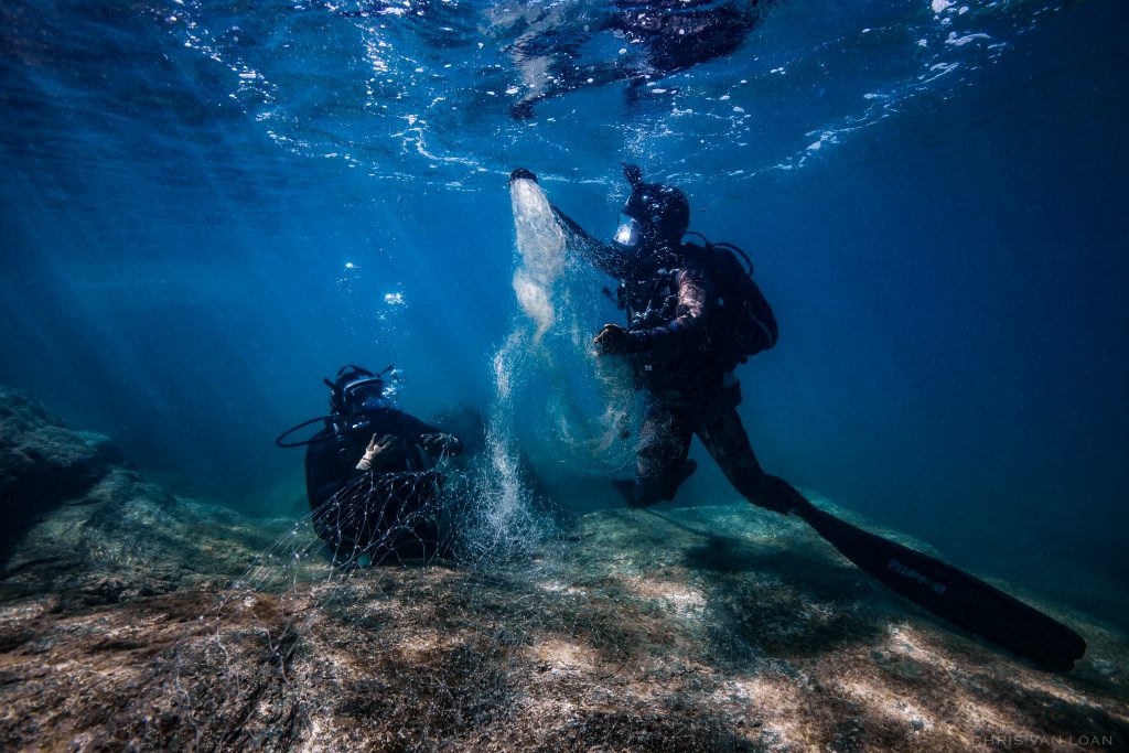 Nat Geo Image of the Day Dangerous Dive